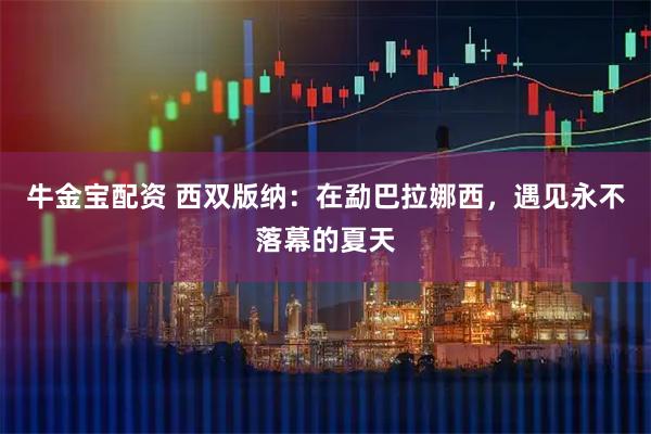 牛金宝配资 西双版纳：在勐巴拉娜西，遇见永不落幕的夏天