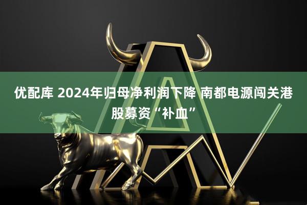 优配库 2024年归母净利润下降 南都电源闯关港股募资“补血”