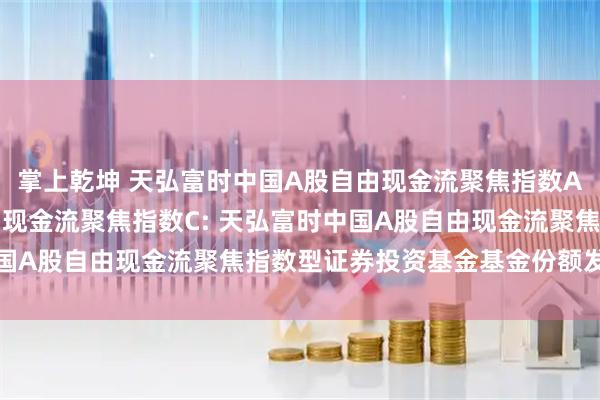 掌上乾坤 天弘富时中国A股自由现金流聚焦指数A,天弘富时中国A股自由现金流聚焦指数C: 天弘富时中国A股自由现金流聚焦指数型证券投资基金基金份额发售公告