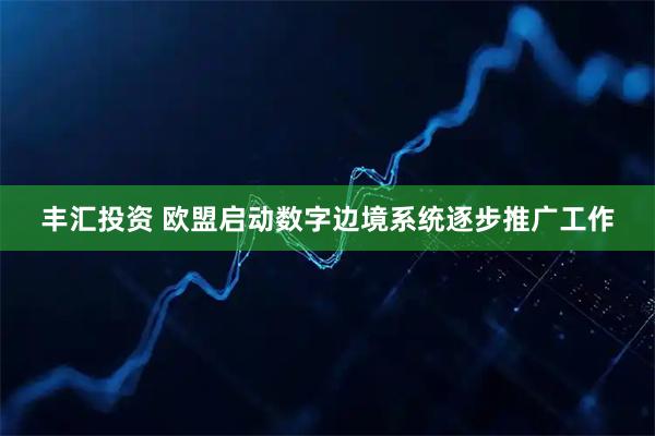丰汇投资 欧盟启动数字边境系统逐步推广工作
