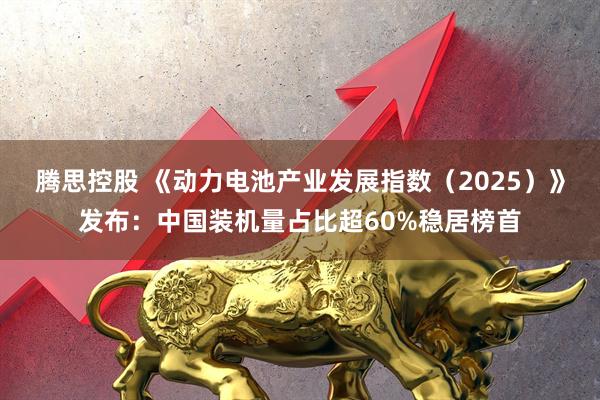 腾思控股 《动力电池产业发展指数（2025）》发布：中国装机量占比超60%稳居榜首