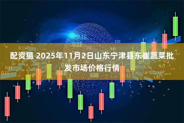 配资猫 2025年11月2日山东宁津县东崔蔬菜批发市场价格行情
