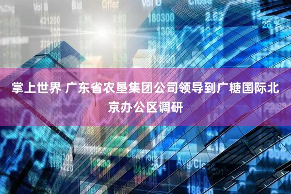 掌上世界 广东省农垦集团公司领导到广糖国际北京办公区调研